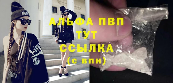 спиды Кукмор
