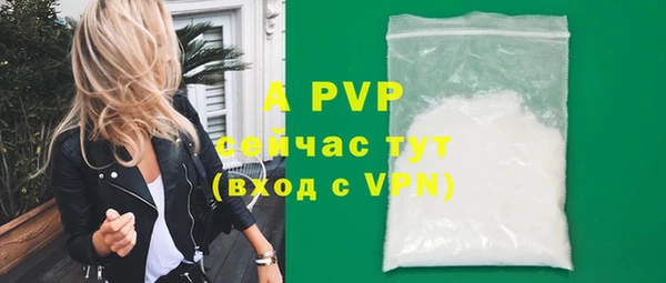спиды Кукмор