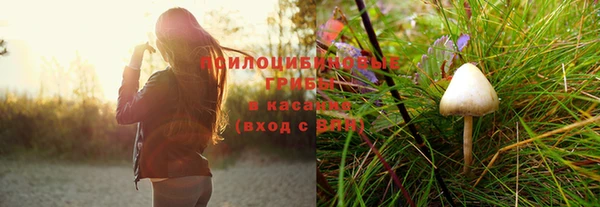 спиды Кукмор