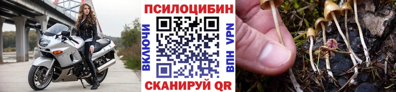 Галлюциногенные грибы Psilocybine cubensis  купить наркоту  ОМГ ОМГ вход  darknet как зайти  Славянск-на-Кубани 