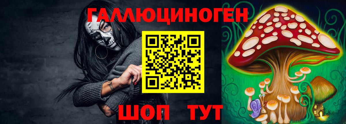 Галлюциногенные грибы MAGIC MUSHROOMS  Вход с VPN  Славянск-на-Кубани 