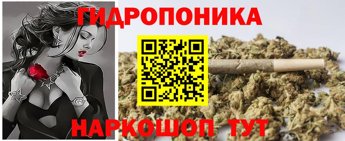 Конопля семена  Каннабис индика  Конопля планчик  МАРИХУАНА LSD WEED  Славянск-на-Кубани  Вход с VPN 